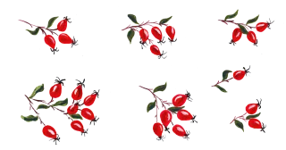 Darts Branch Fruit Stickdatei – Blumen