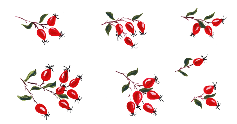 Darts Branch Fruit Stickdatei – Blumen