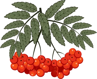 Berry Rowan Mountain ash Stickdatei