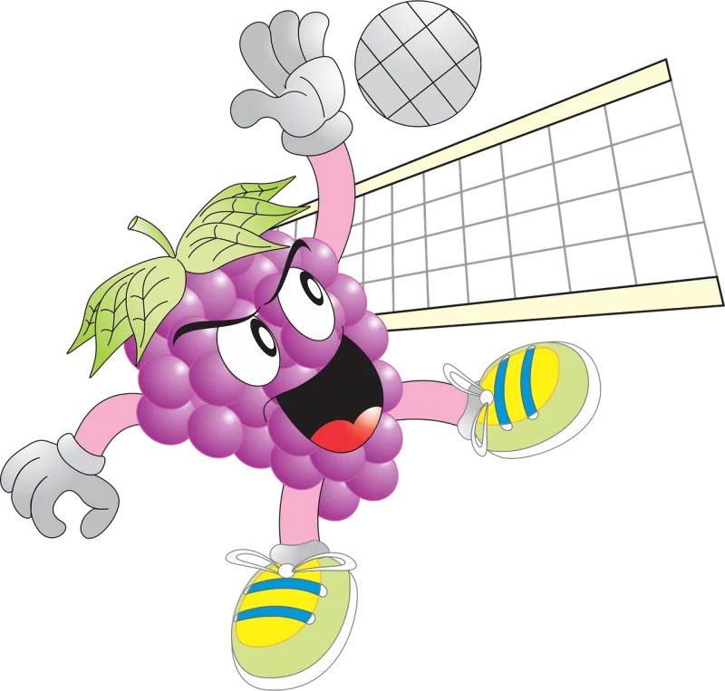 Grape Ball Volleyball Stickdatei – Sport