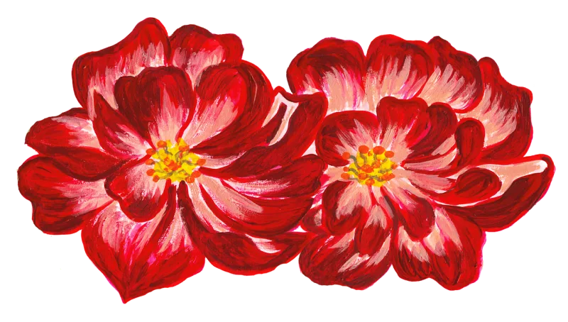 Flowers Drawing Roses Stickdatei – Blumen
