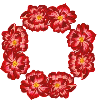 Wreath Roses Bloom Stickdatei