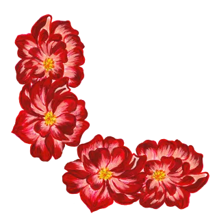 Roses Border Watercolor Stickdatei