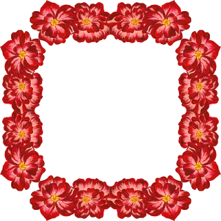 Roses Peony Bloom Stickdatei
