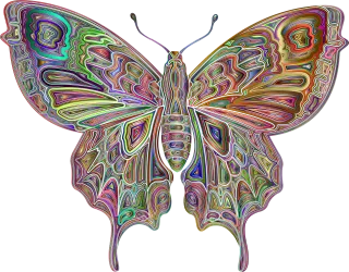 Insect Butterfly Abstract Stickdatei – Tiere