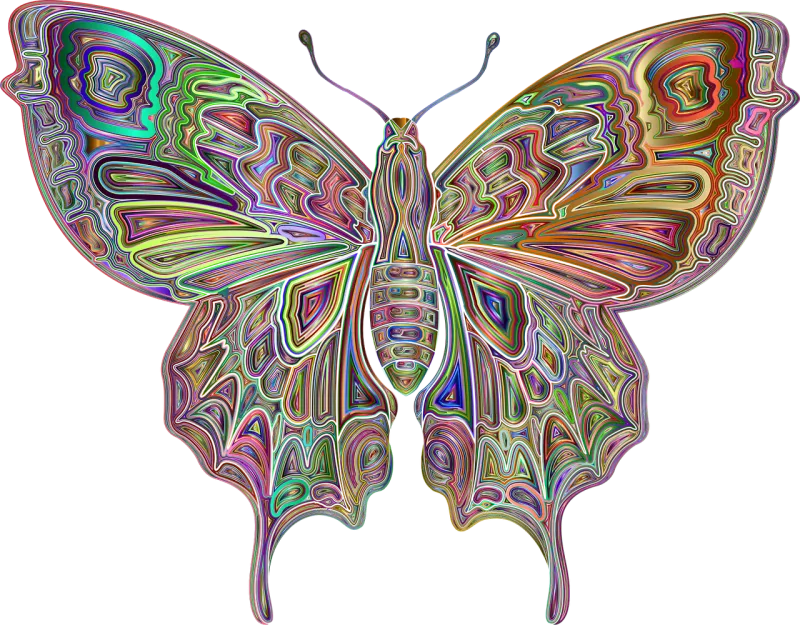 Insect Butterfly Abstract Stickdatei – Tiere