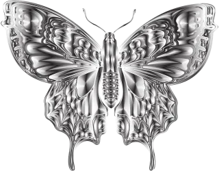 Insect Entomology Butterfly Stickdatei