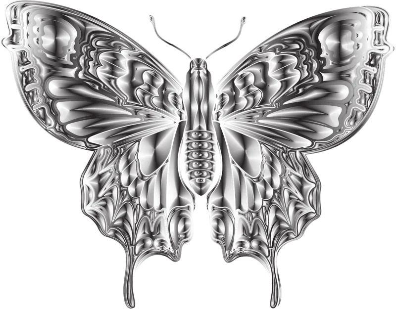 Insect Entomology Butterfly Stickdatei – Tiere