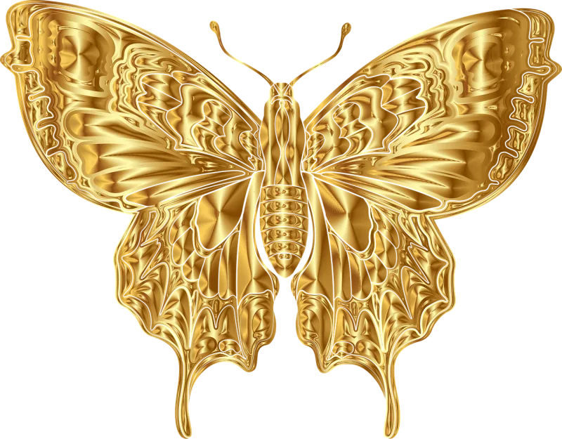 Insect Butterfly Abstract Stickdatei – Tiere