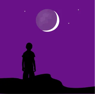 Moon Night Nature Stickdatei