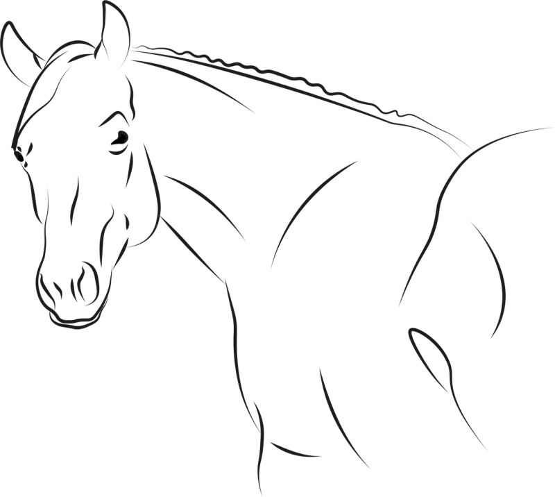 Horse Nature Animal Stickdatei – Tiere