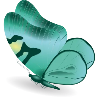 Butterfly Insect Clip art Stickdatei