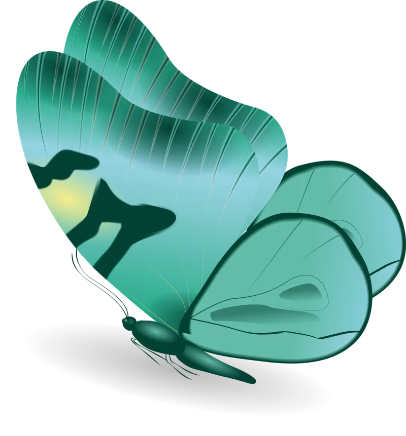 Butterfly Insect Clip art Stickdatei – Tiere