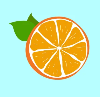 Orange Fruit Orange slice Stickdatei