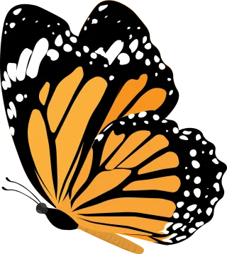Butterfly Insect Moth Stickdatei