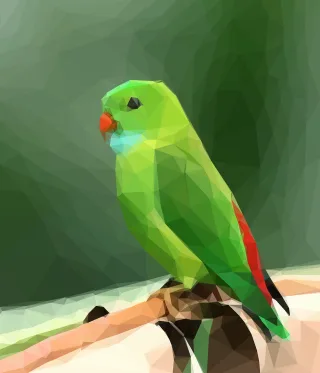 Bird Canary Nature Stickdatei