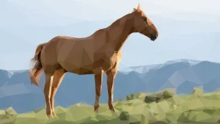 Brown horse Horse Nature Stickdatei