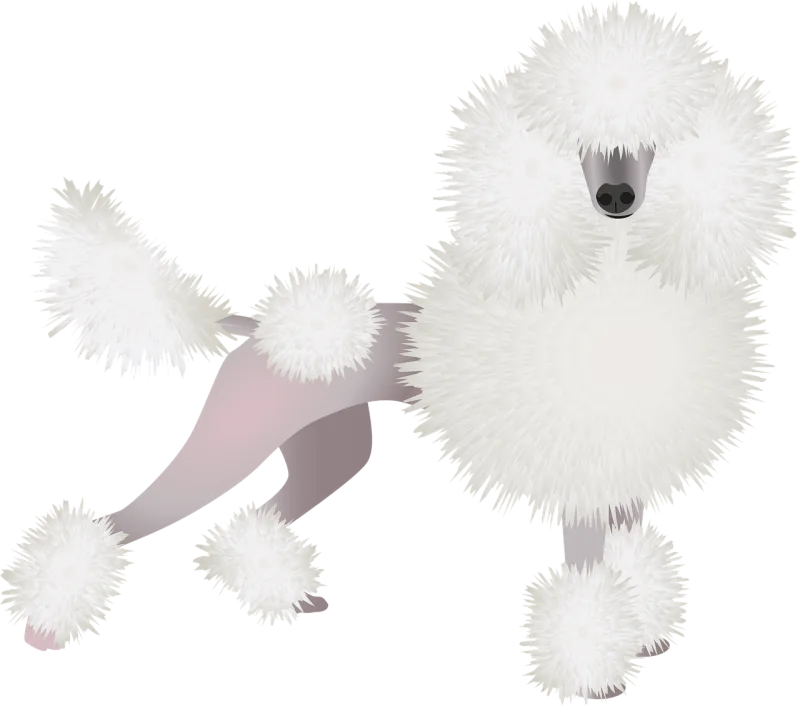 Poodle Dog Nature Stickdatei – Tiere