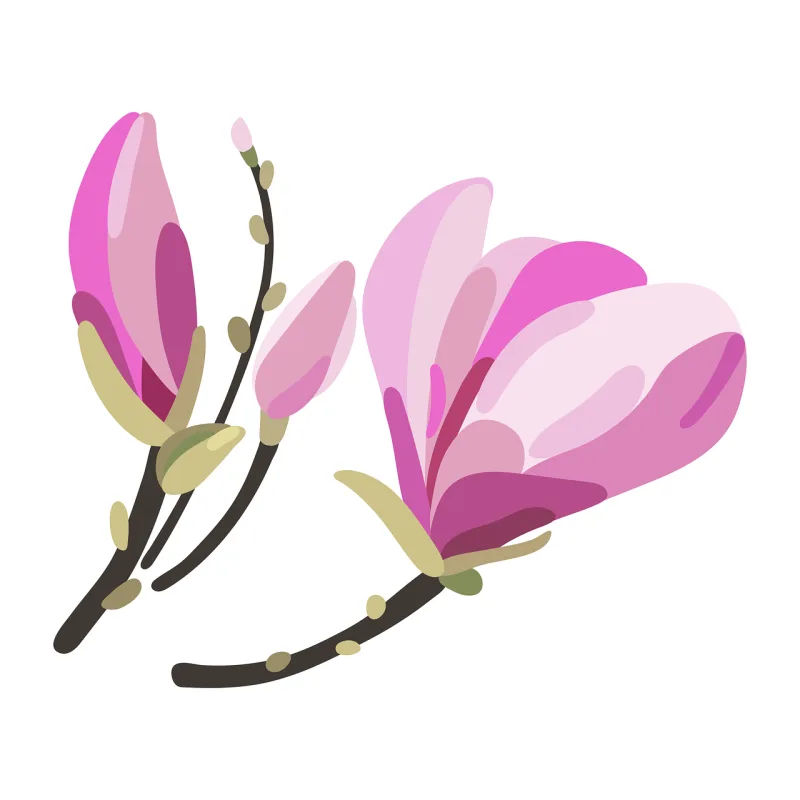 Magnolia Flower Flower wallpaper Stickdatei – Blumen