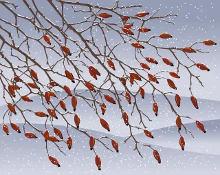 Rose hip Bush Branch Stickdatei
