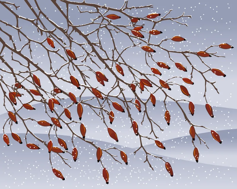 Rose hip Bush Branch Stickdatei – Weihnachten