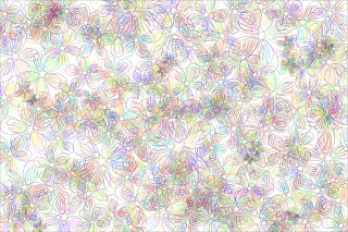 Flowers Flower background Floral Stickdatei
