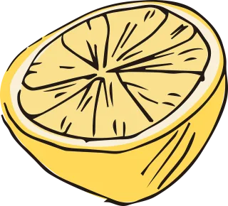 Lemon Fruit Citrus fruit Stickdatei