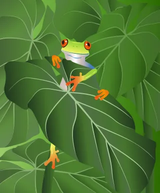 Frog Tree frog Leaves Stickdatei