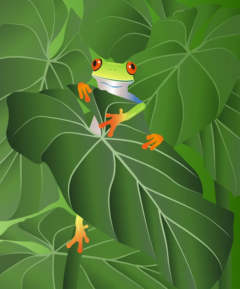 Frog Tree frog Leaves Stickdatei – Natur