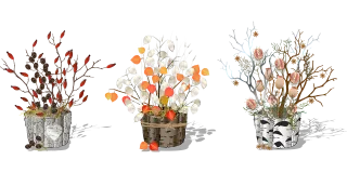 Money plant Plants Flower pots Stickdatei – Blumen