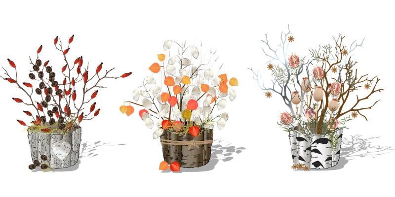 Money plant Plants Flower pots Stickdatei – Blumen