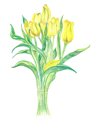 Tulips Bouquet Bloom Stickdatei – Blumen