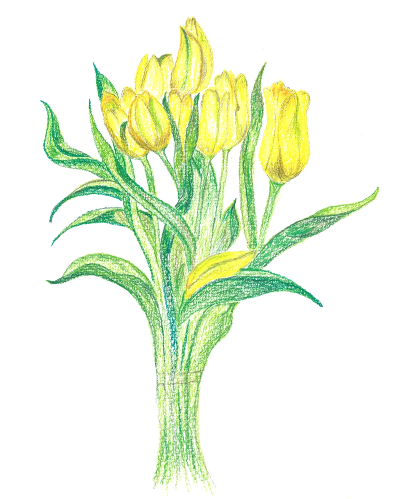 Tulips Bouquet Bloom Stickdatei – Blumen