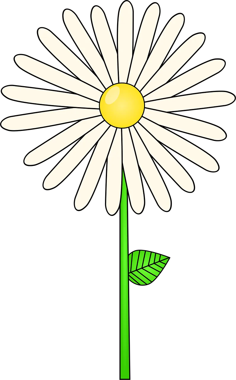 Daisy Flower Plant Stickdatei – Blumen