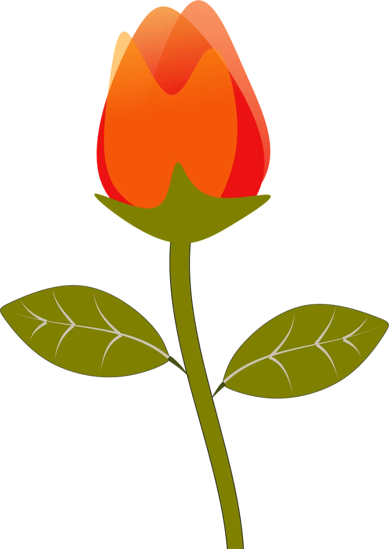 Rose Flower wallpaper Rose flower Stickdatei – Blumen