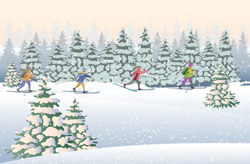 Skiing Winter Ski Stickdatei – Sport