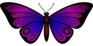 Insect Butterfly Entomology Stickdatei