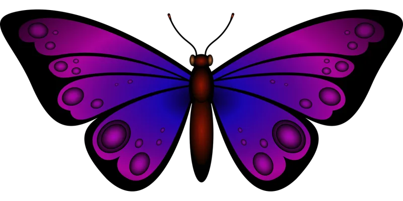 Insect Butterfly Entomology Stickdatei – Tiere