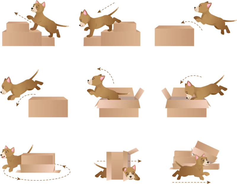 Education Learning language Prepositions of movement Stickdatei – Tiere
