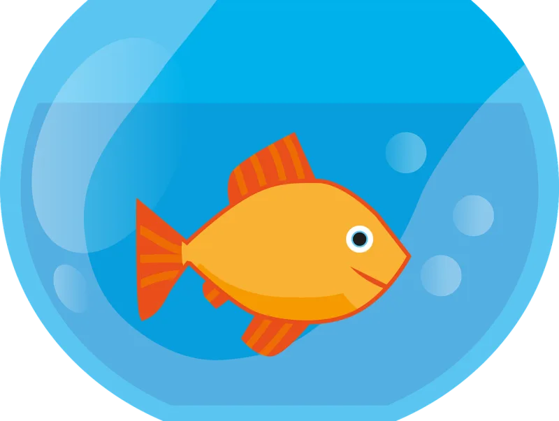 Goldfish Water Aquarium Stickdatei – Tiere
