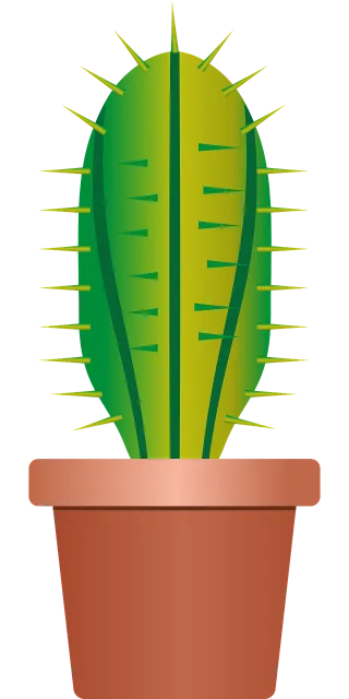 Plant Cactus Nature Stickdatei