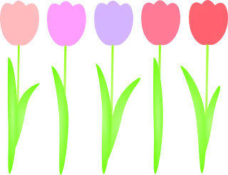 Tulips Flowers Spring Stickdatei