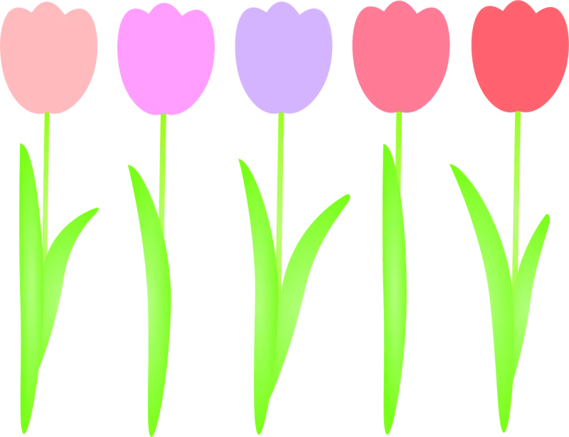 Tulips Flowers Spring Stickdatei – Blumen