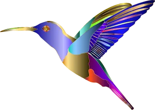 Hummingbird Animal Bird Stickdatei