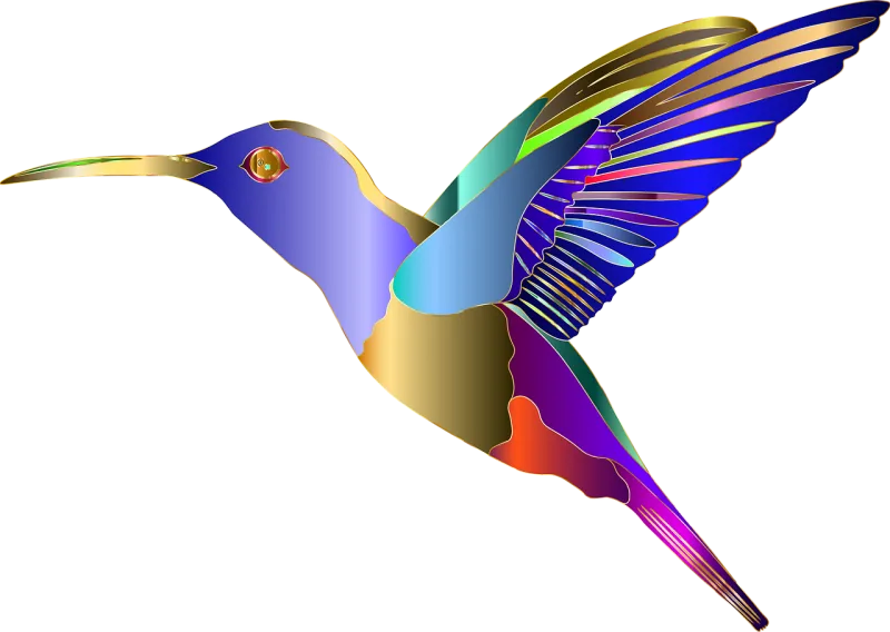 Hummingbird Animal Bird Stickdatei – Kinder