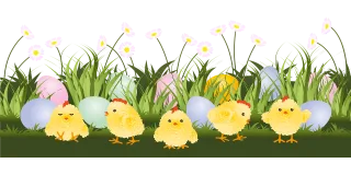Chicken Easter Eggs Stickdatei