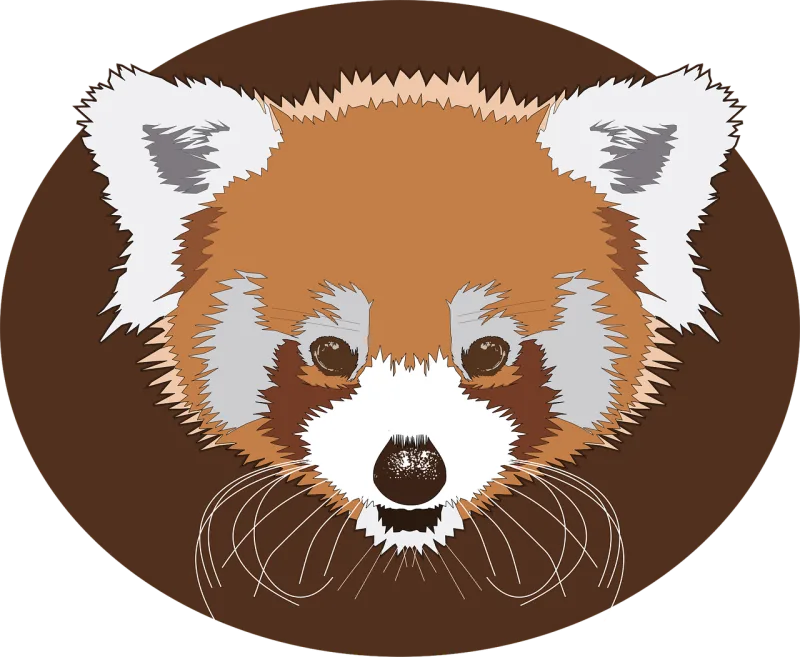 Animal Red panda Drawing Stickdatei – Tiere