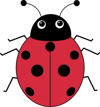 Insect Ladybug Entomology Stickdatei