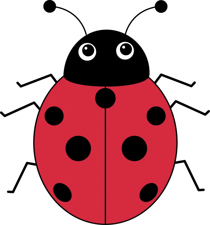 Insect Ladybug Entomology Stickdatei – Tiere