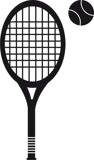 Tennis Tennis racket Tennis ball Stickdatei